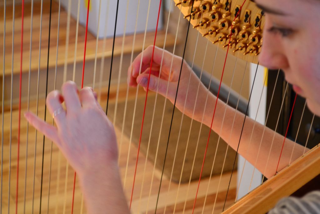 How long does it take to learn the harp