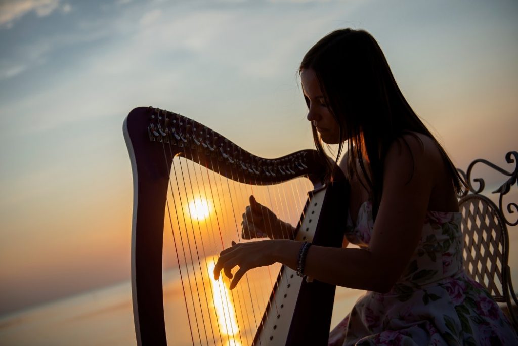 How much does a harp lesson cost