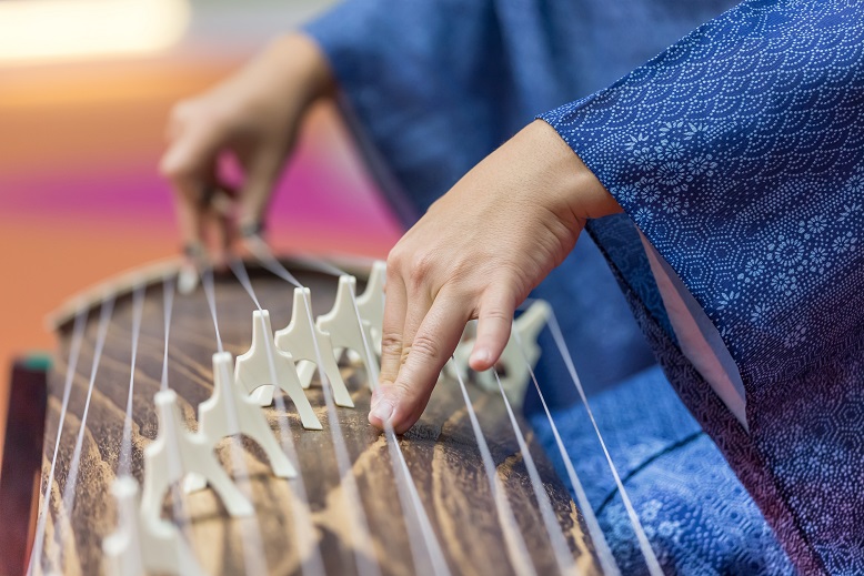 How Much Does a Professional Harpist Make - Trade Lines for Sale at Personal Tradelines?